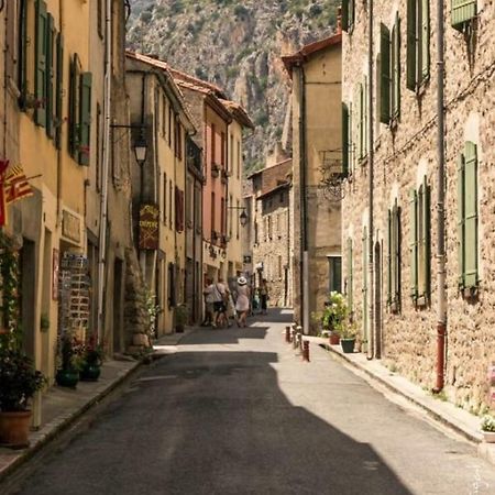 Maison Les Ramparts Вильфранш-де-Конфлан Экстерьер фото