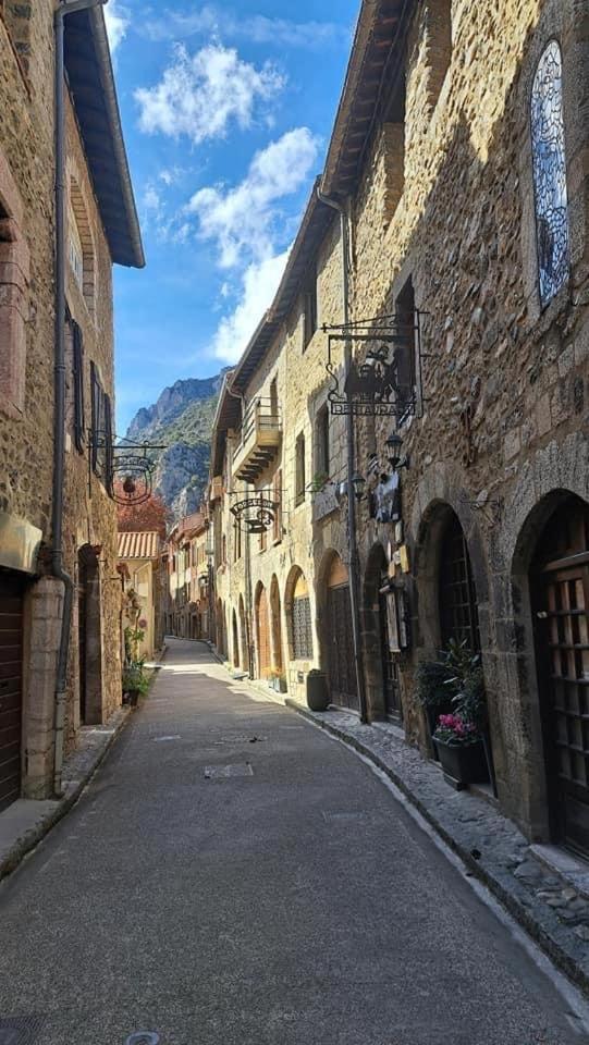 Maison Les Ramparts Вильфранш-де-Конфлан Экстерьер фото